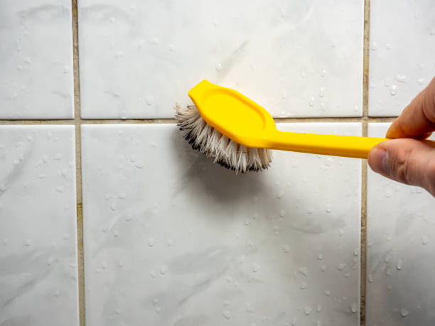 Best Bathroom Mold Remediation in Rockville Centre, NY