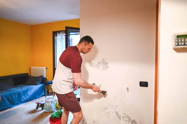 Best DIY Mold Remediation Support Services in Rockville Centre, NY